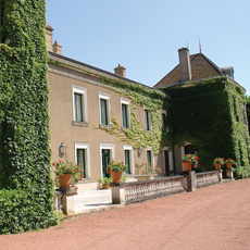 Louis Jadot Moulin-A-Vent Chateau des Jacques 2020 – Willow Park Wines &  Spirits