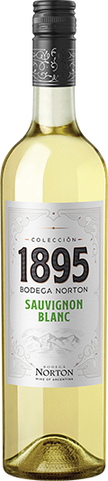 1895 Colección Sauvignon Blanc Bottle Image
