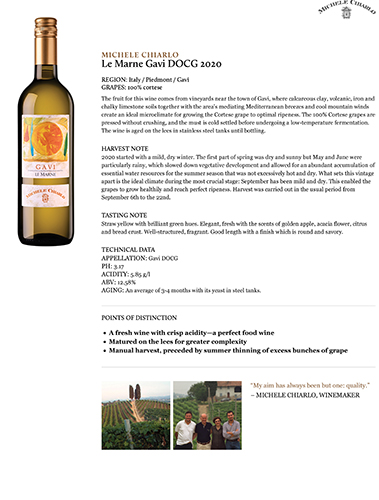 Le Marne Gavi DOCG 2020 Fact Sheet