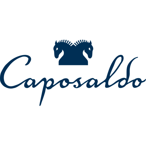 Caposaldo Logo – Blue