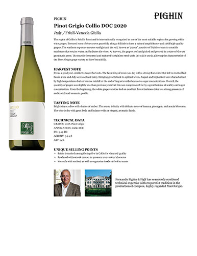 Pinot Grigio Collio DOC 2020 Fact Sheet