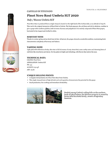 Pinot Nero Rosé Umbria IGT 2020 Fact Sheet