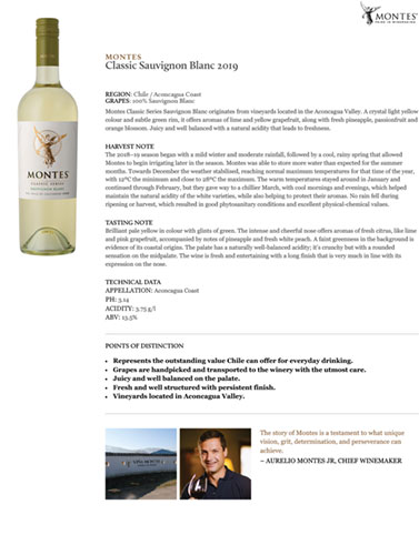 Classic Sauvignon Blanc 2019 Fact Sheet