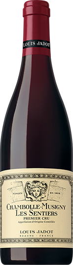Chambolle Musigny Les Sentiers Bottle Image