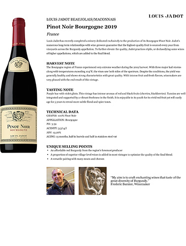 Pinot Noir Bourgogne 2019 Fact Sheet