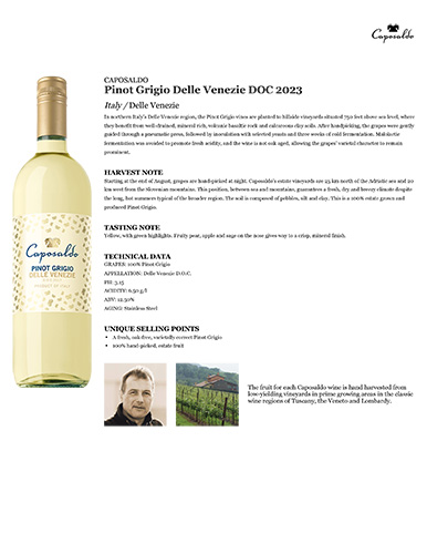 Pinot Grigio Delle Venezie DOC 2023 Fact Sheet