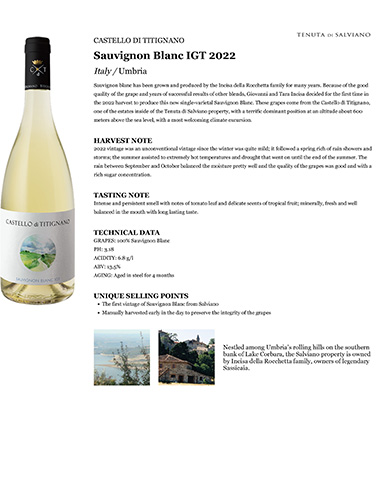 Sauvignon Blanc IGT 2022 Fact Sheet