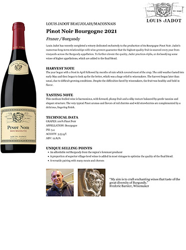 Pinot Noir Bourgogne 2021 Fact Sheet